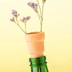 Bottle top herb planters (set van 3)