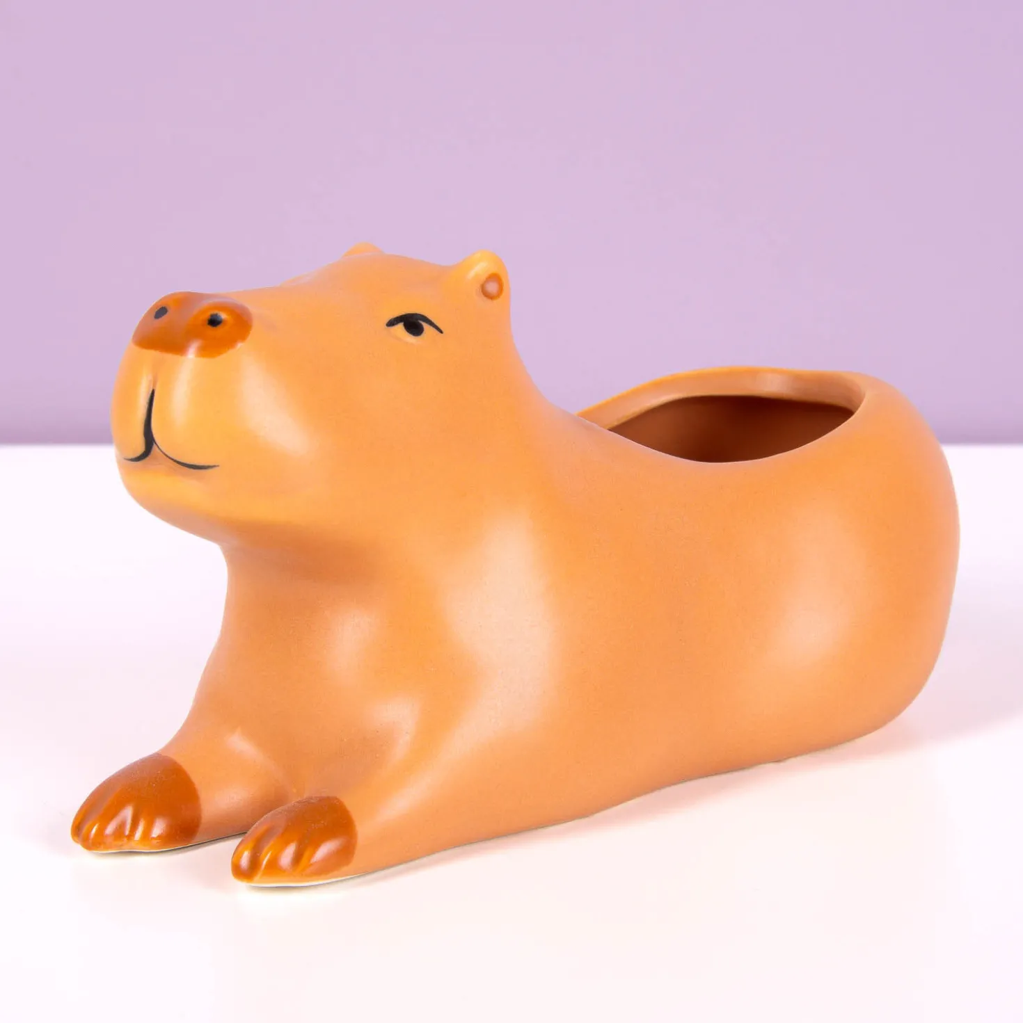 Capibara bloempot