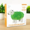 Capibara bloempot met zaadjes