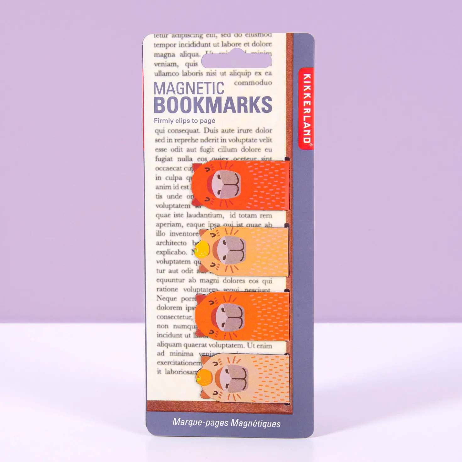 Capibara magnetische boekenleggers (set van 4)