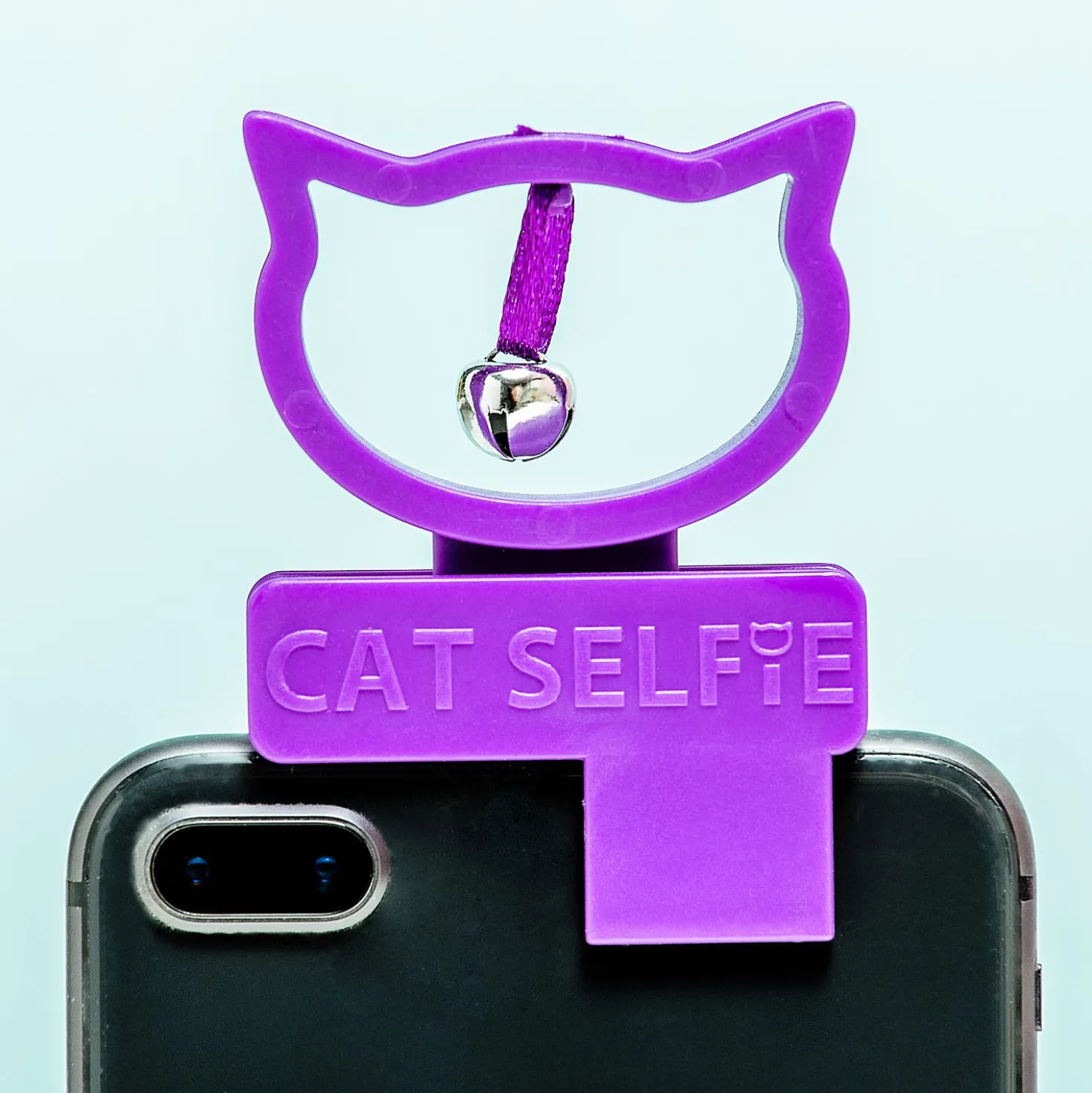 Cat selfie