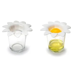 Daisy eischeider