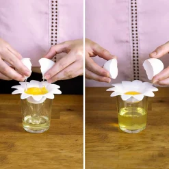 Daisy eischeider