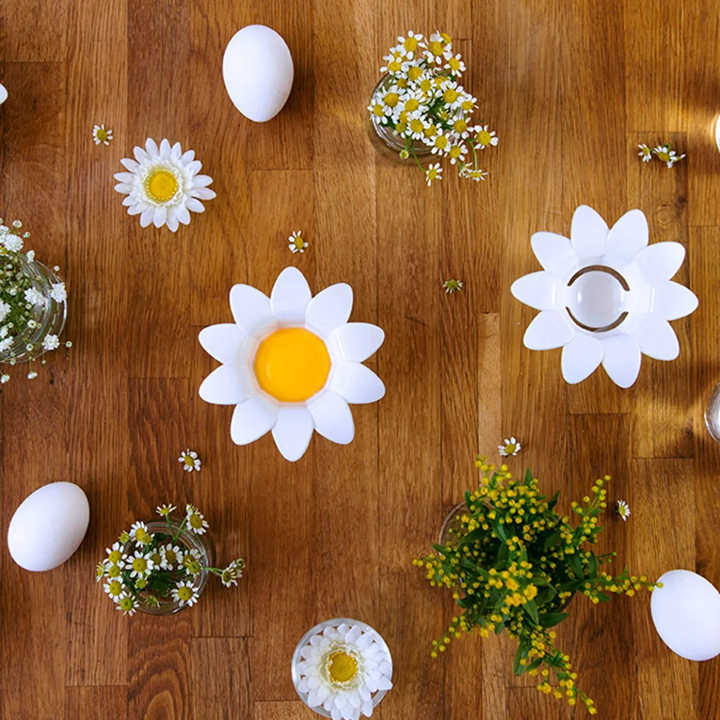 Daisy eischeider