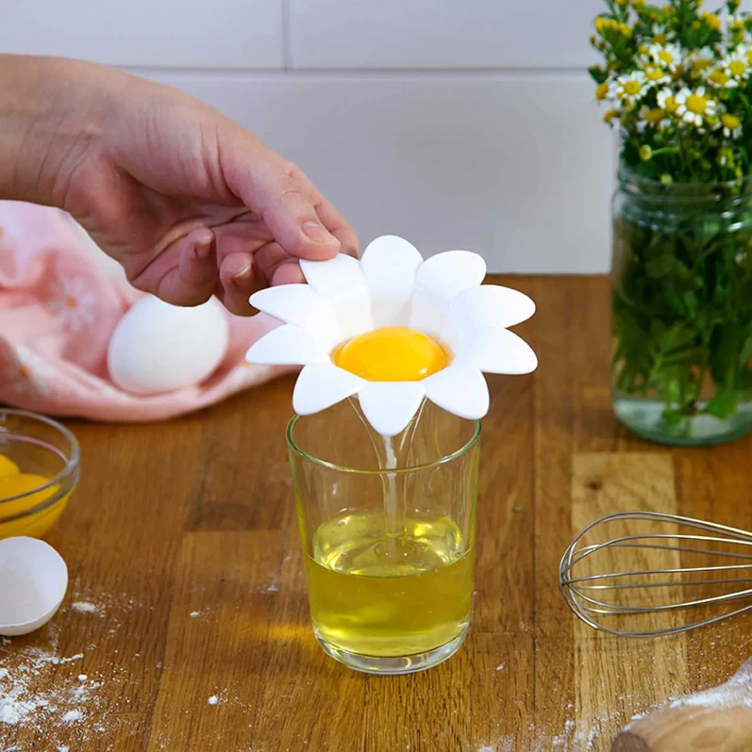 Daisy eischeider