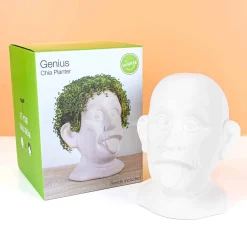 Einstein bloempot met zaadjes