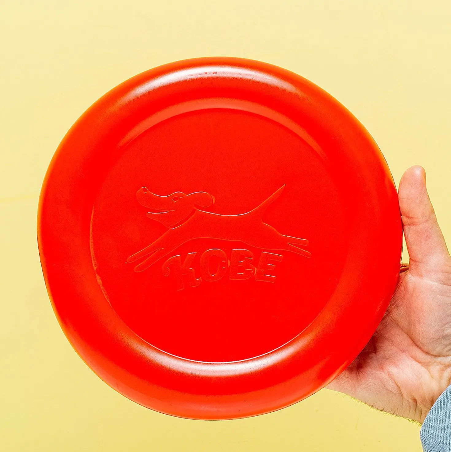 Frisbee voor hond met bacongeur