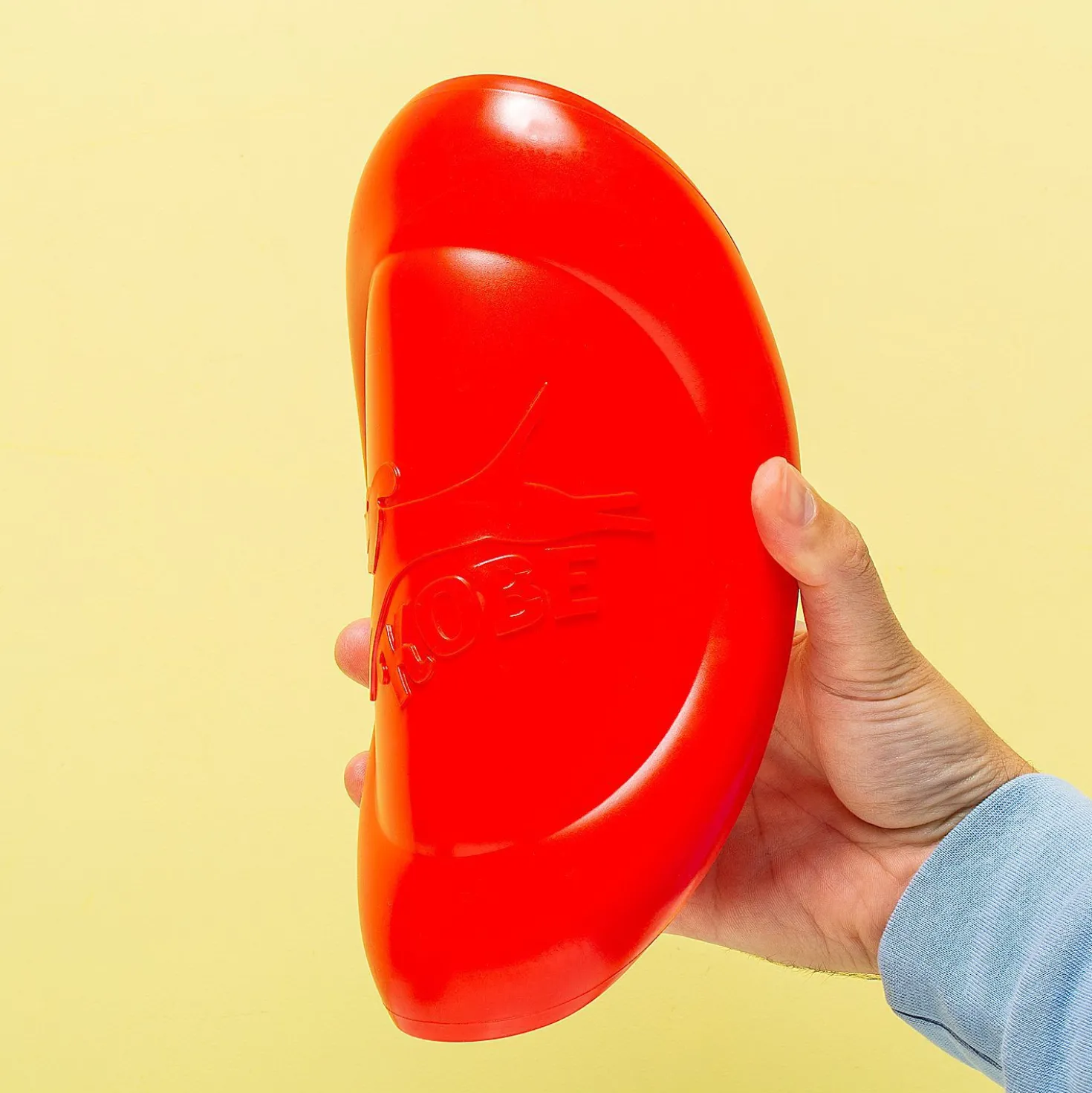 Frisbee voor hond met bacongeur