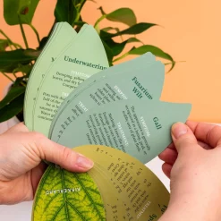 Gezonde planten handboek