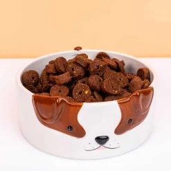 Honden voerbak met hondengezicht