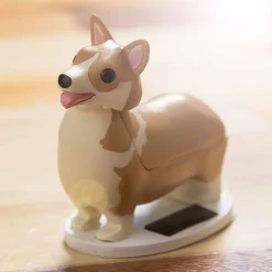 Hondje op zonne-energie