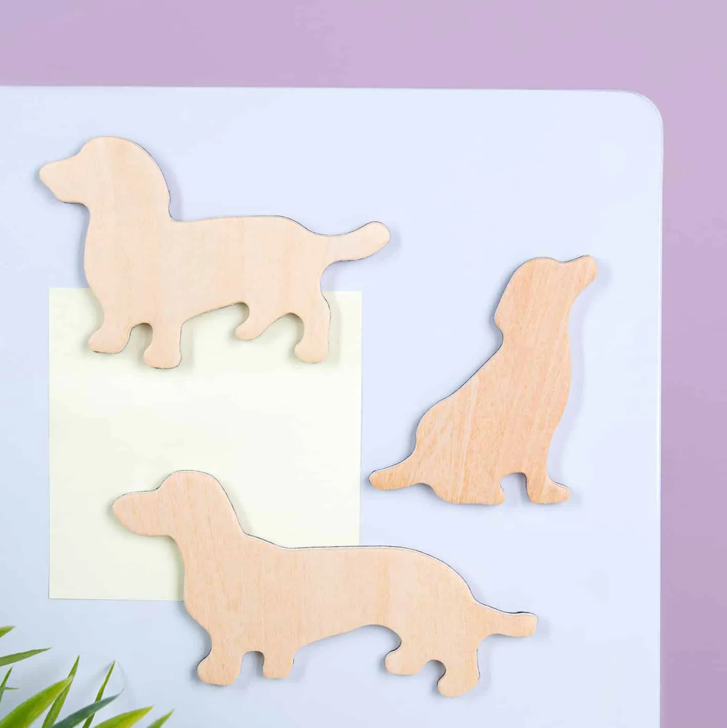 Houten dierenmagneten (set van 3)