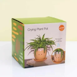 Huilende bloempot