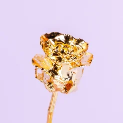 24 karaat gouden roos