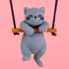 Kat autohanger