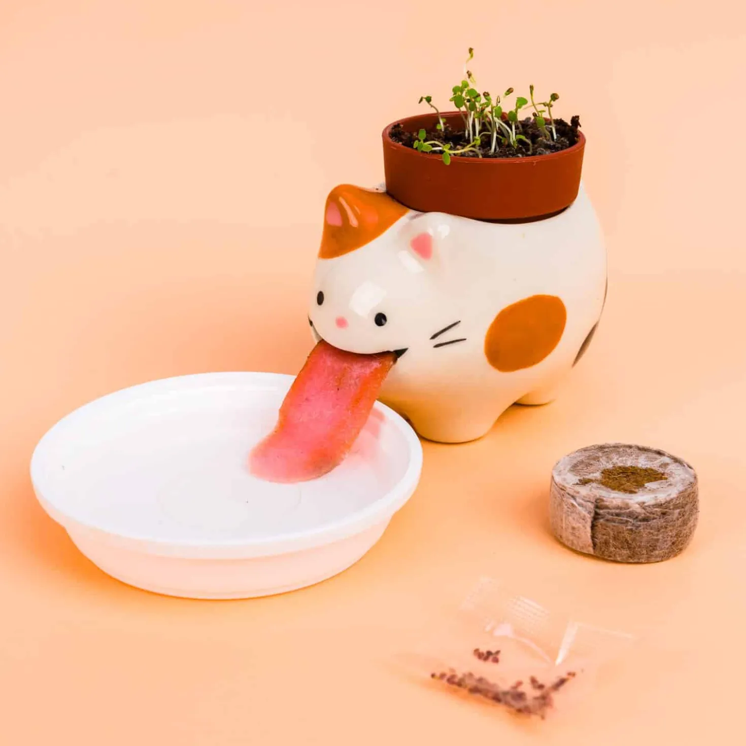 Kat bloempotje met aardbeienplantje