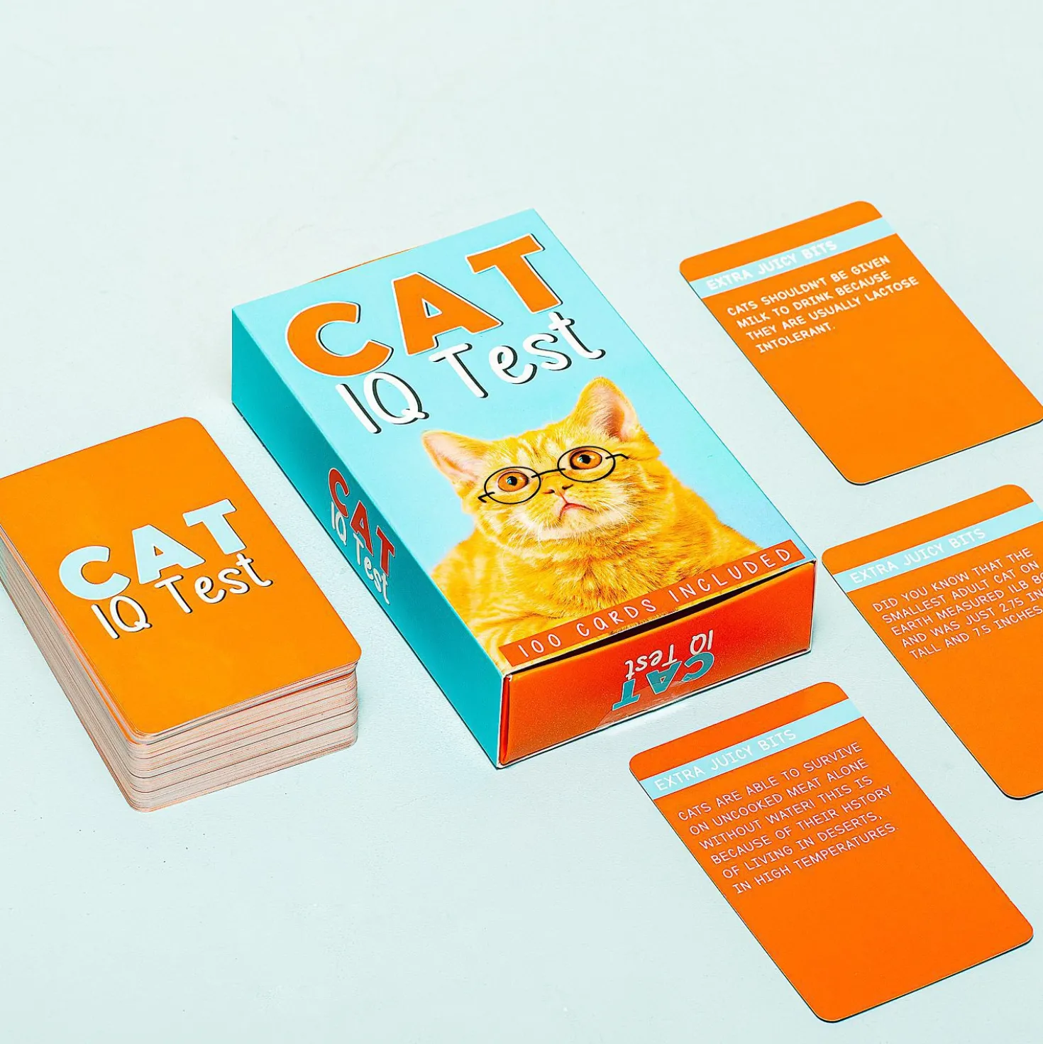 Kat IQ test