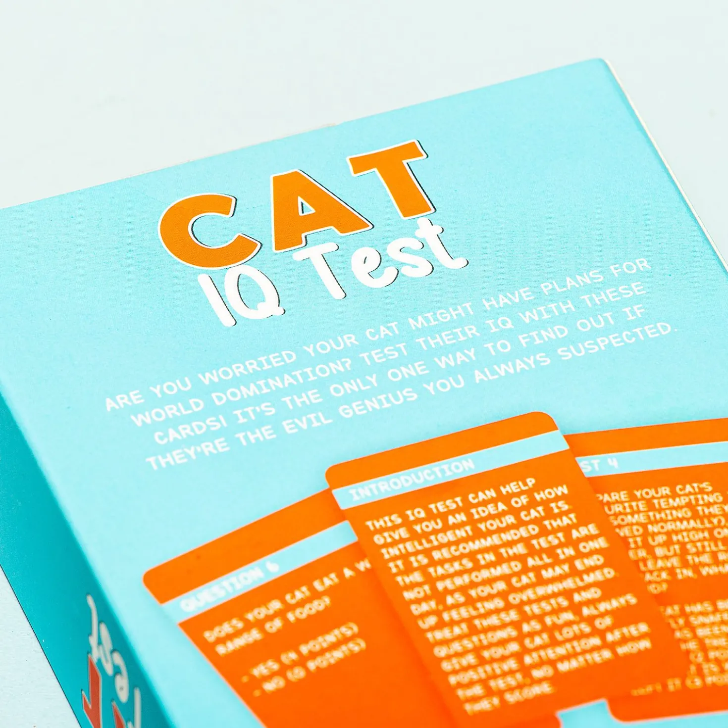 Kat IQ test