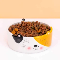 Kat voerbak met kattengezicht