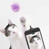 Kitty phone clip