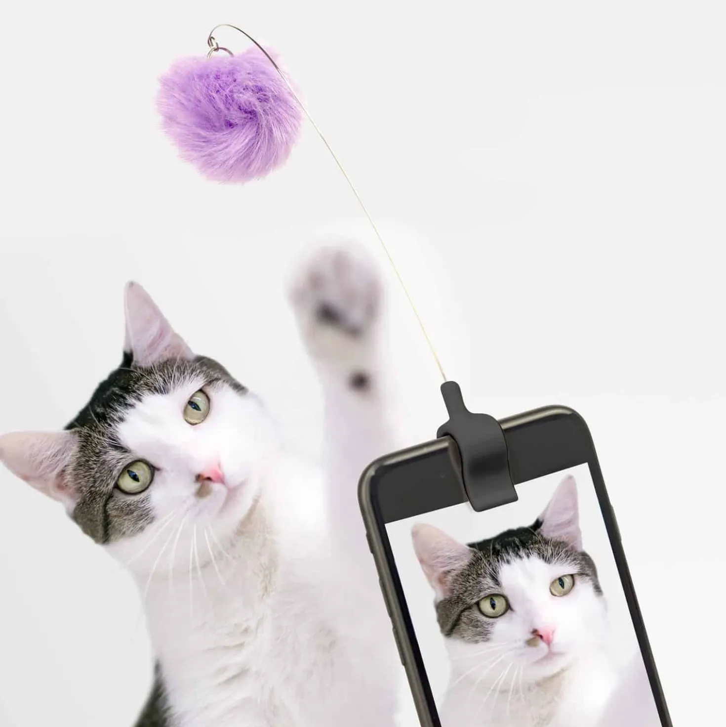 Kitty phone clip