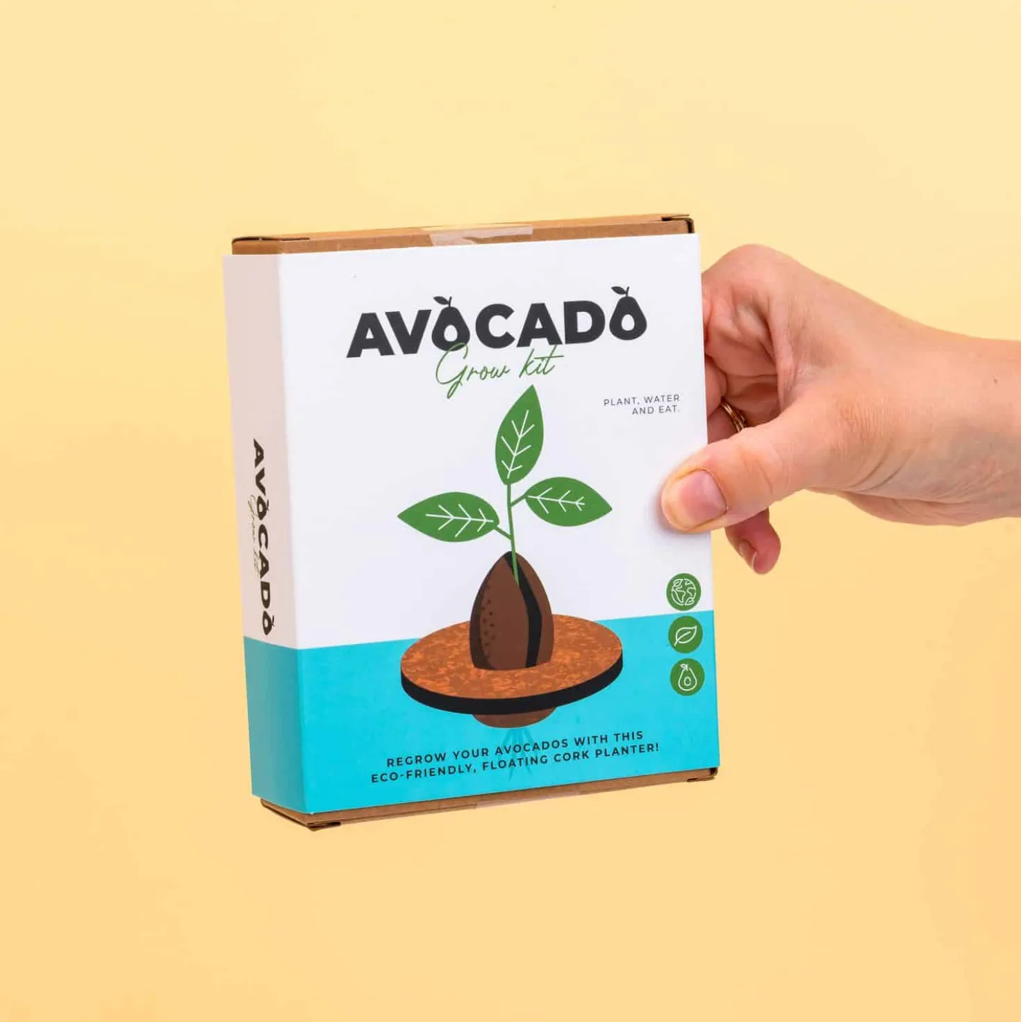 Kurken ontkiemset voor avocado’s