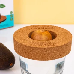 Kurken ontkiemset voor avocado’s