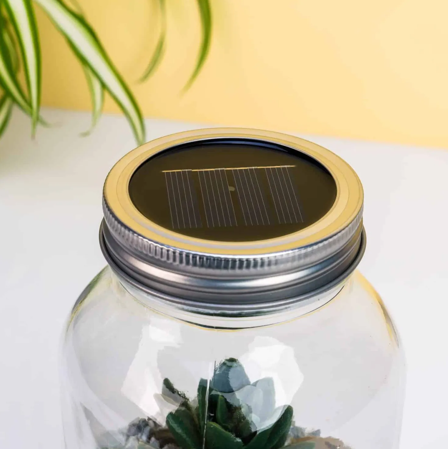 Lichtgevend terrarium