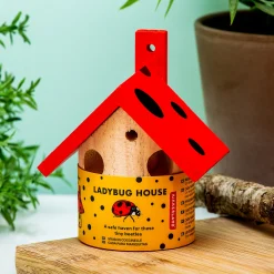 Lieveheersbeestjes huisje