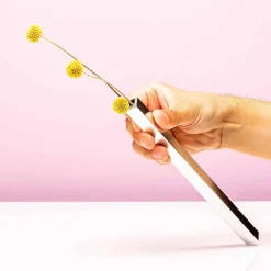 Magnetische Vaasjes (Set Van 5)