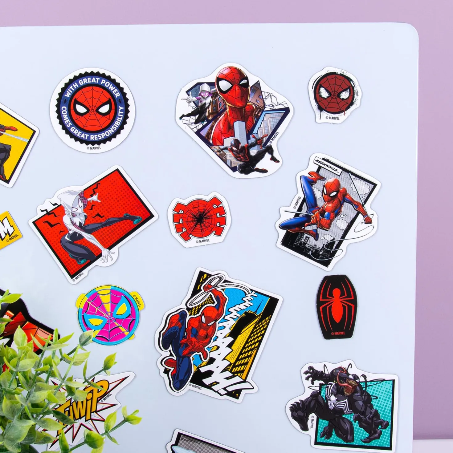 Marvel Spiderman magneten (set van 24)