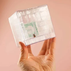 Money Maze Geldpuzzel Spaarpot