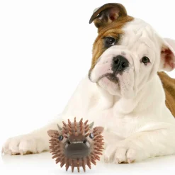 Piepbal voor hond met geur