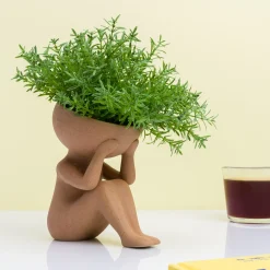 Planten in mijn hoofd bloempot