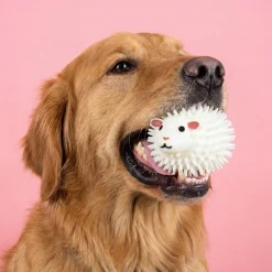 Schaapbal met geur voor honden