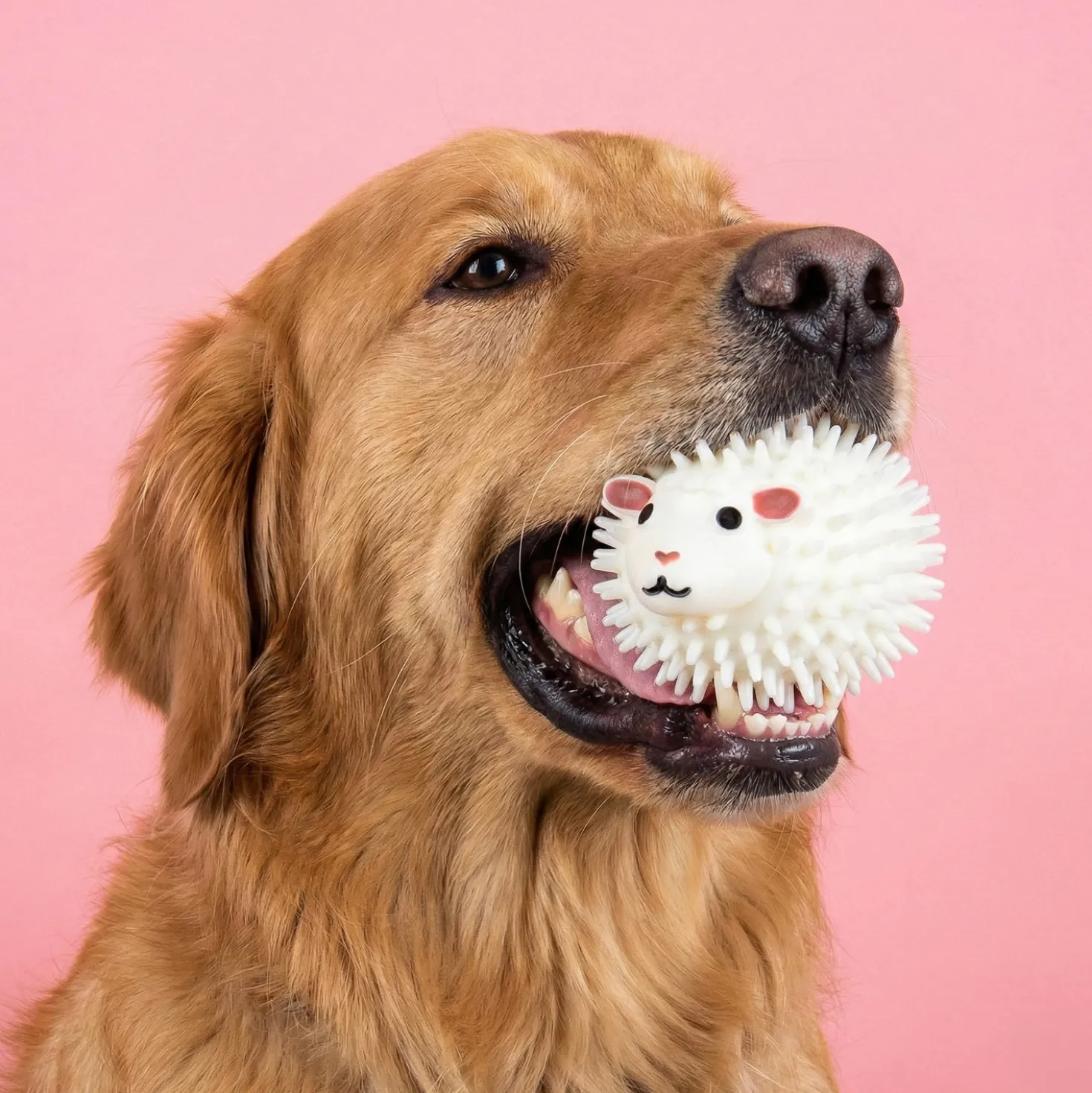 Schaapbal met geur voor honden