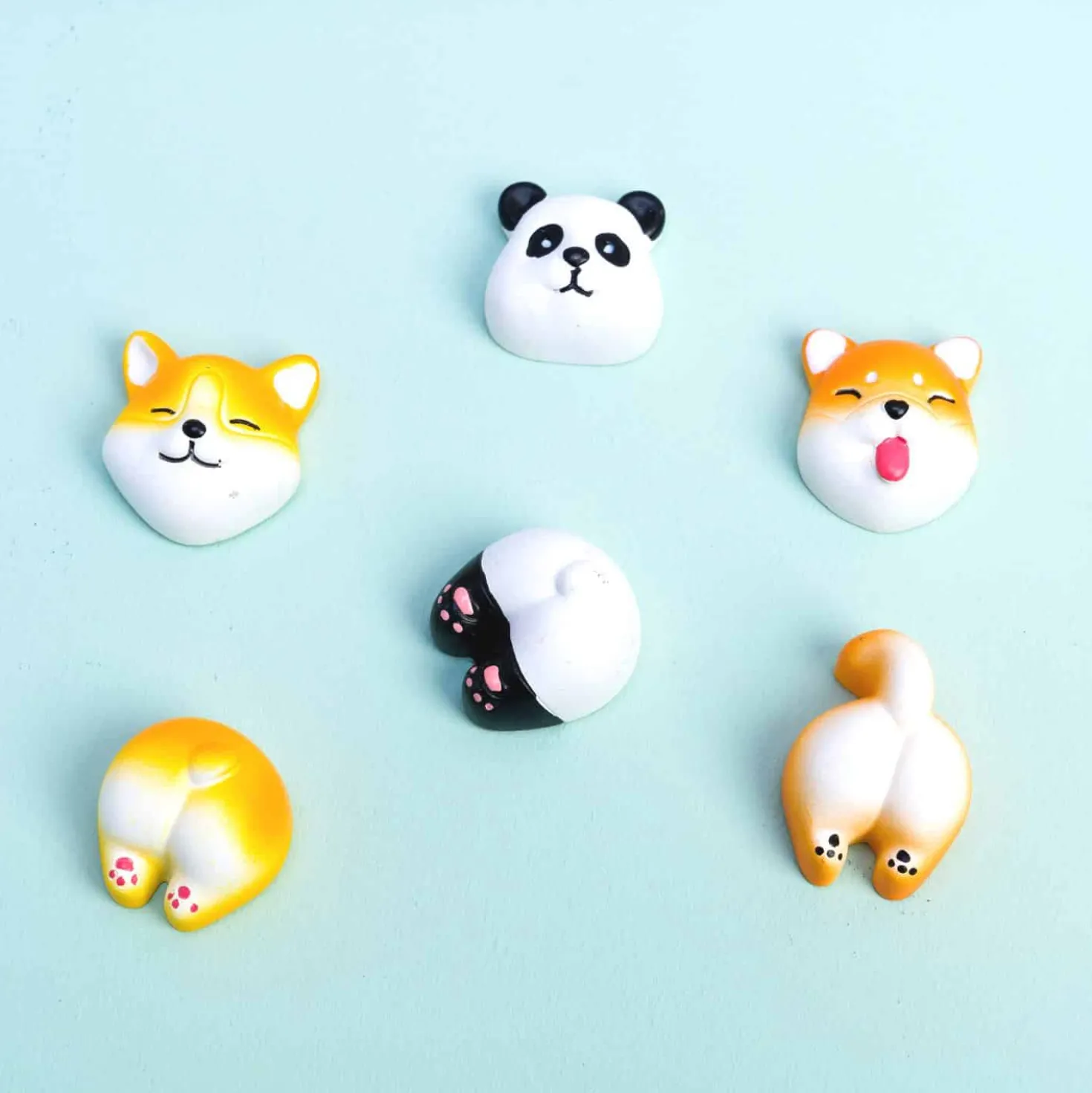 Schattige dierenmagneten (set van 6)