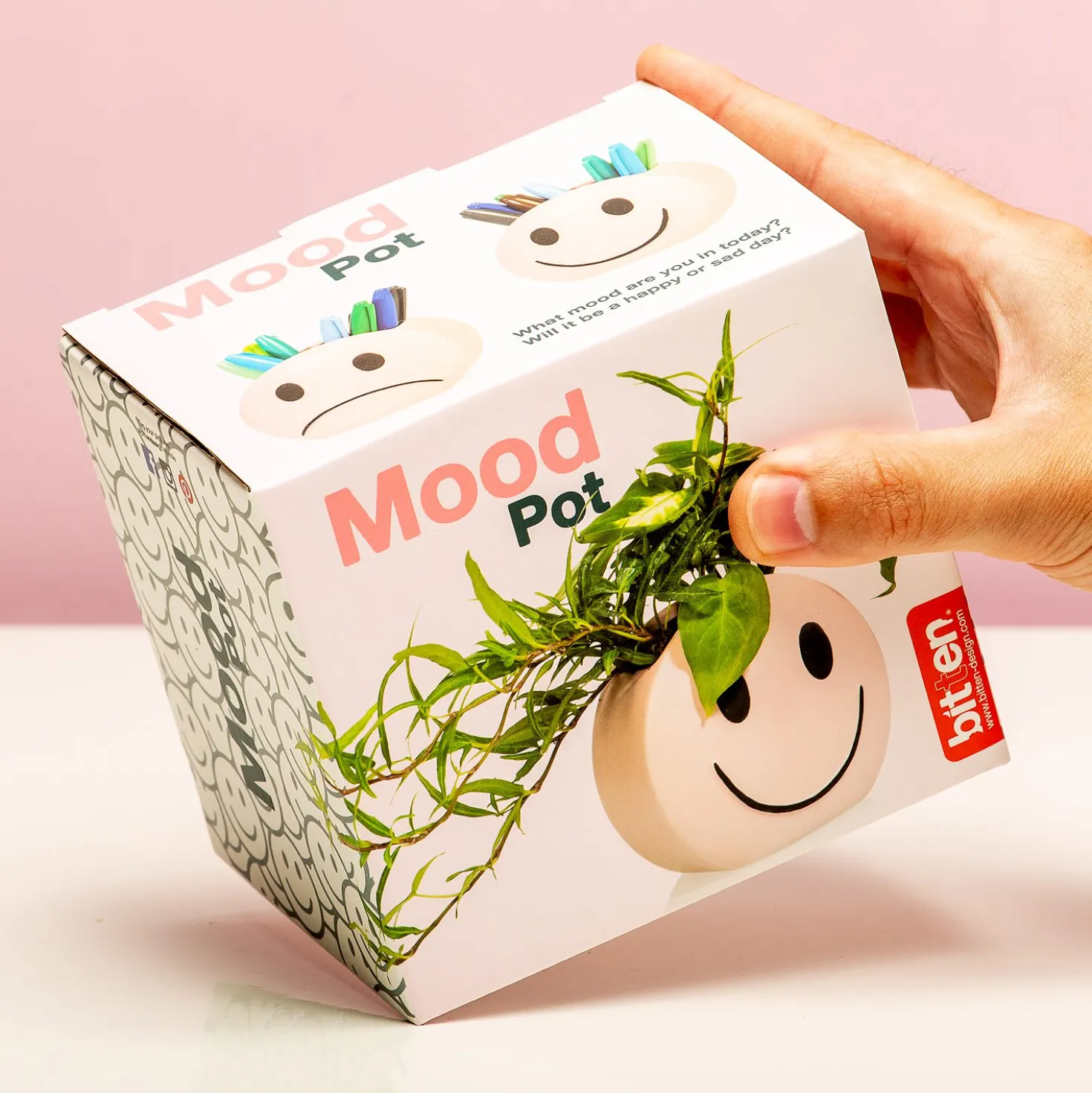 Smile potje