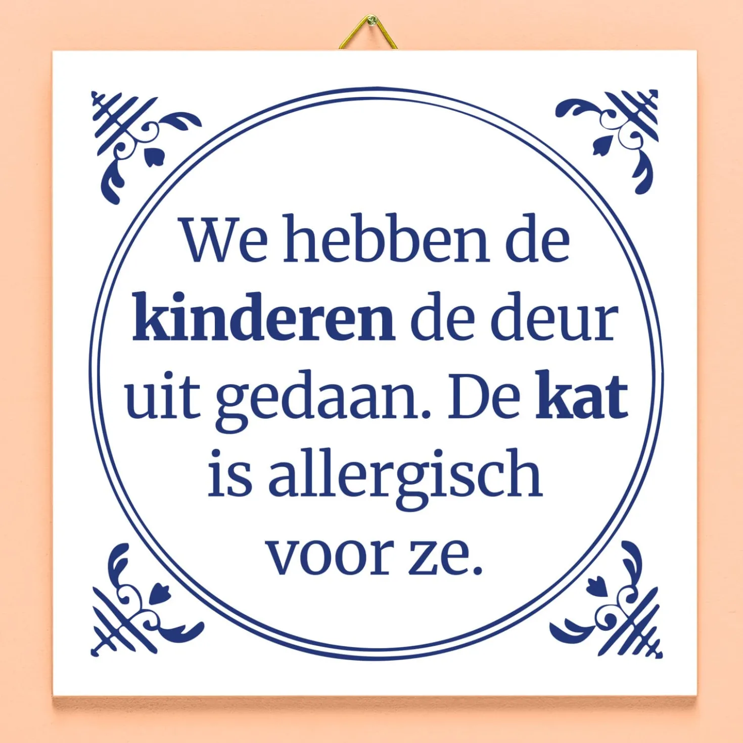 Tegeltje Kinderen de deur uit gedaan