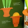 Terracotta regrower voor groenten (set van 2)