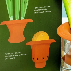 Terracotta regrower voor groenten (set van 2)