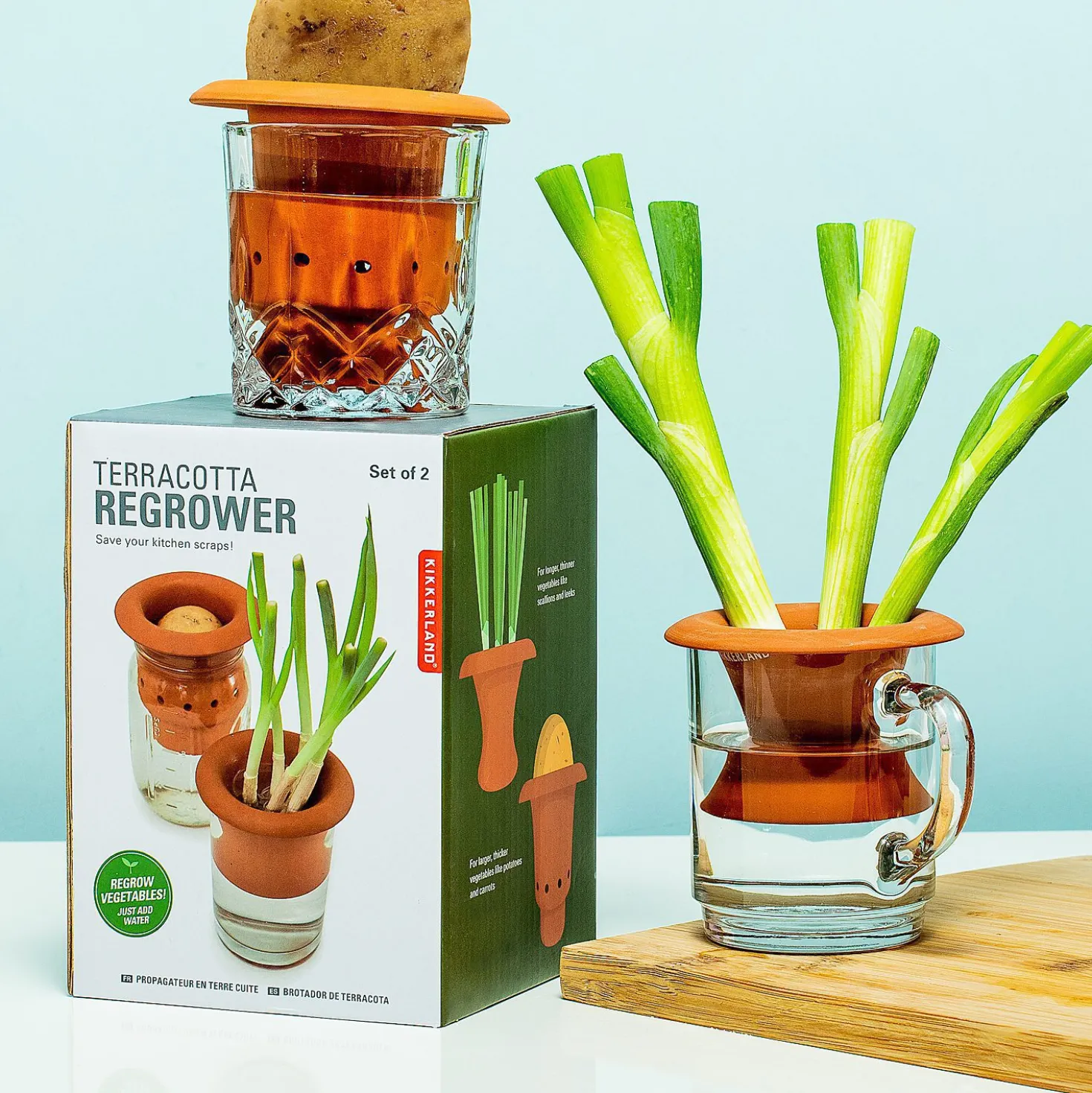 Terracotta regrower voor groenten (set van 2)