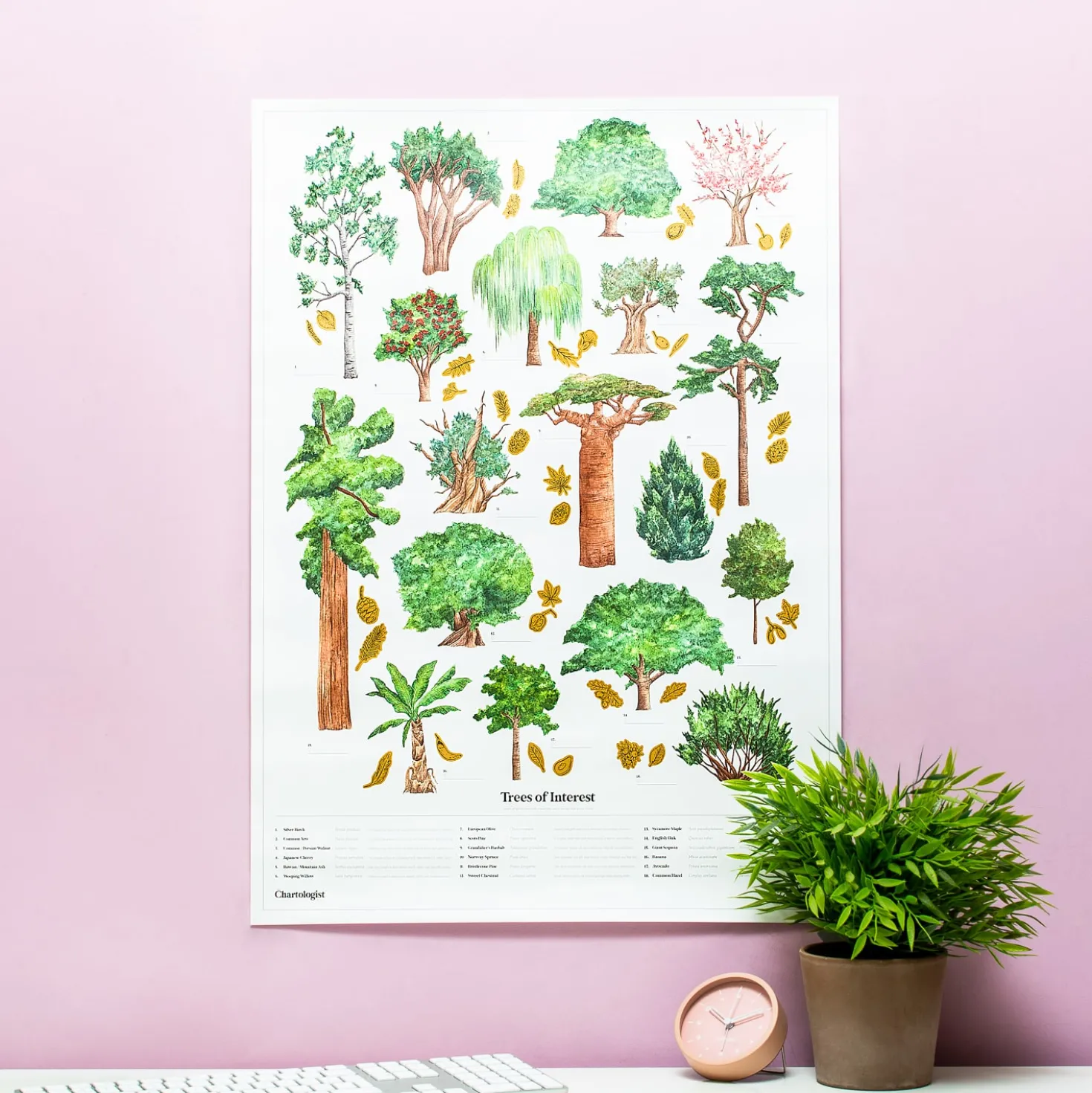 The Chartologist poster – Bomen