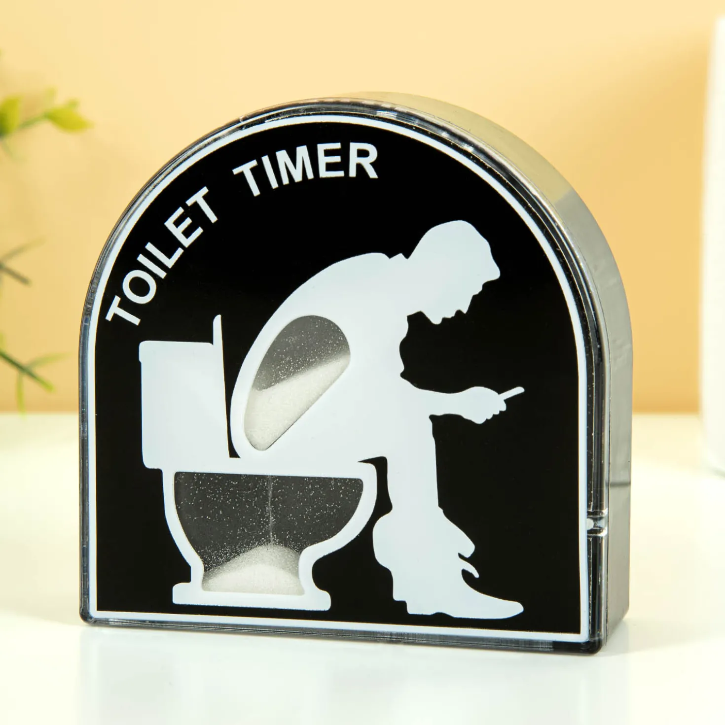 Toilet timer
