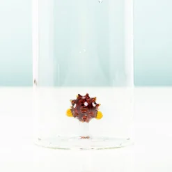 Waterfles