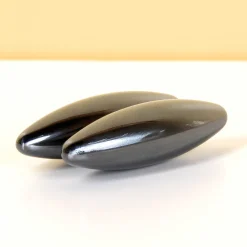 Zingende magneten (set van 2)